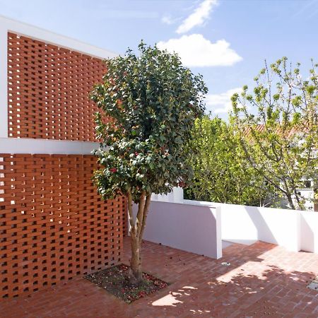 Margueda Alcains Exterior foto